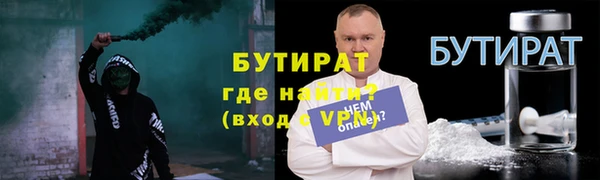 сатива Волоколамск