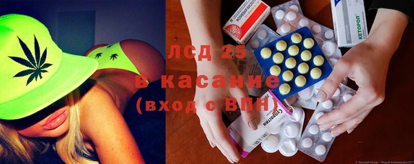 сатива Волоколамск