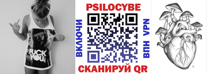Купить  Кедровый  Галлюциногенные грибы Cubensis 